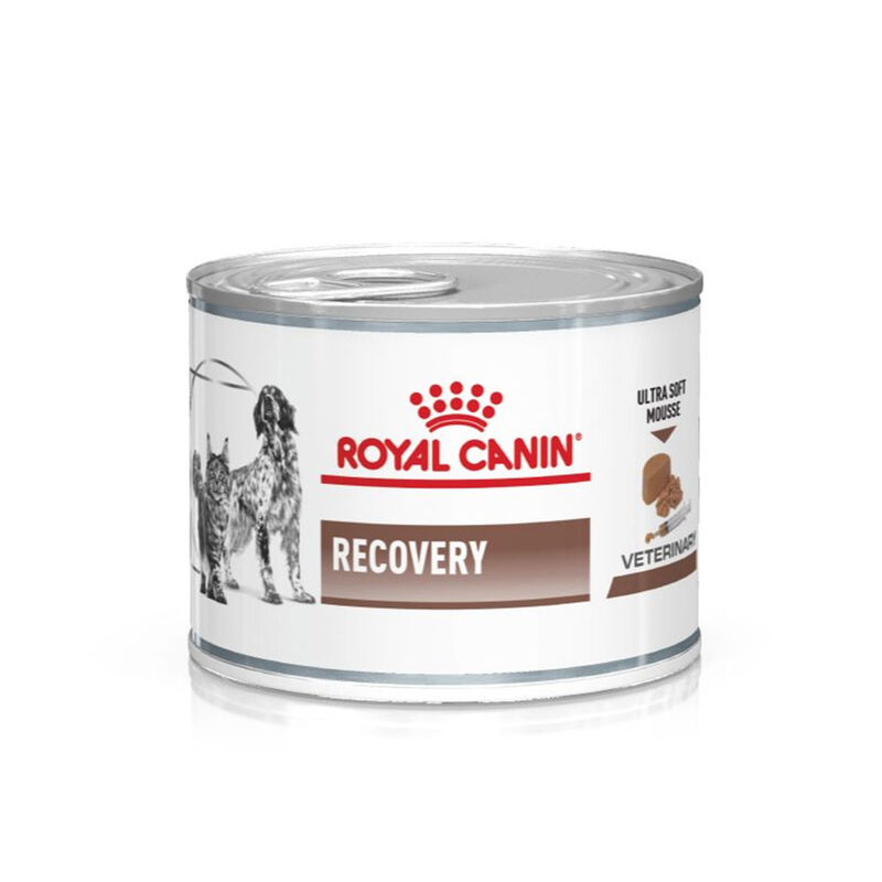 Royal Canin Veterinary Diet Dog e Cat Recovery 195 gr