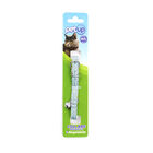 Petup Collare Gatto 10mm Glitter Azzurro