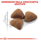 Royal Canin Cat Adult Indoor 27 400 gr