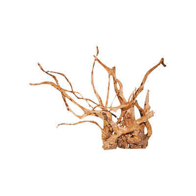 Blu Bios Legno Driftwood medio 30/40 cm