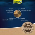Tetra Goldfish Men&ugrave; 250 ml
