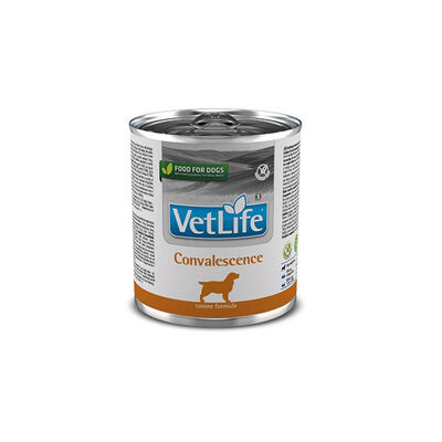 Farmina Vet Life Dog Convalescence 300 gr