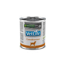 Farmina Vet Life Dog Convalescence 300 gr