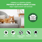 Frontline Combo Spot-On per Gatti e furetti 6 pz