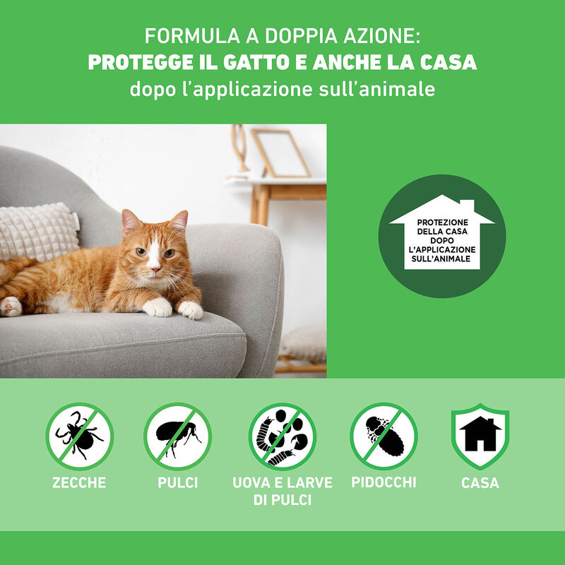 Frontline Combo Spot-On per Gatti e furetti 6 pz
