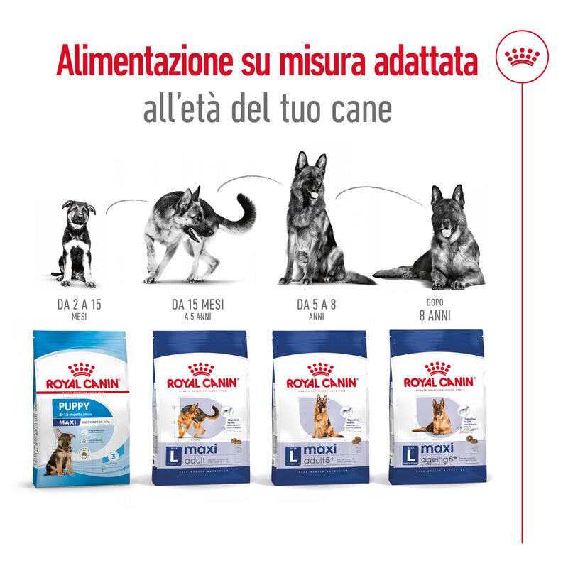 Royal Canin Dog Maxi Adult 4 kg