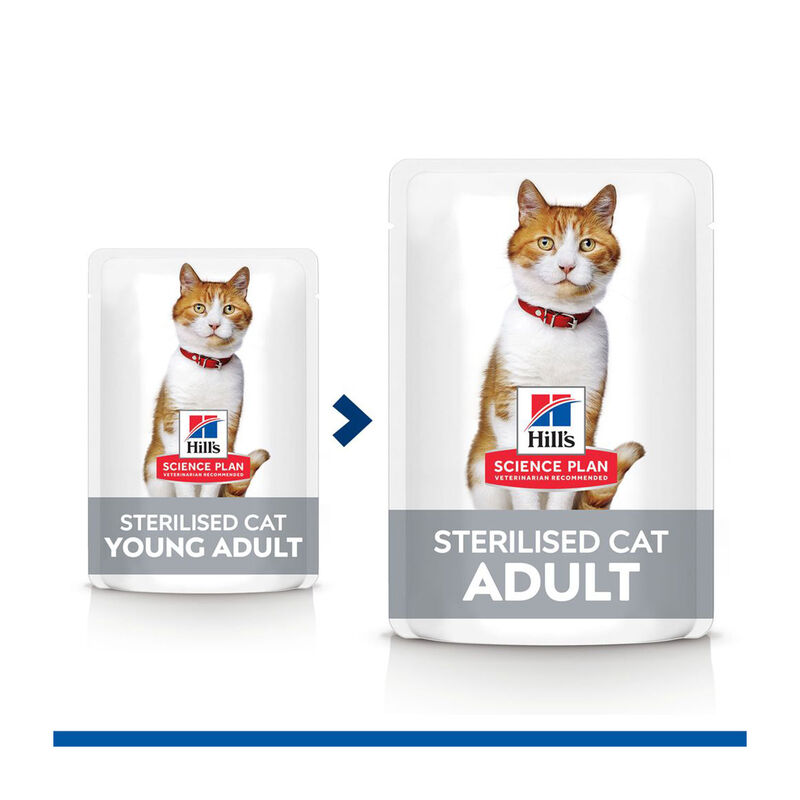 Hill's Science Plan Cat Adult Sterilised con Trota 85 gr