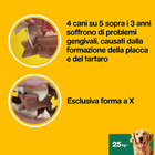 Pedigree Dentastix Daily fresh Dog Large 154x4 pz