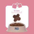 Monopro Dog Adult Mini Grain free Maiale 800 gr