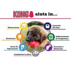 Kong Gioco Classic per cani M Rosso