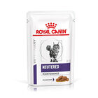 Royal Canine Veterinary Diet Cat Adult Neutered Maintenance 12x85 gr