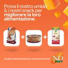 N&D Farmina Pumpkin Neutered Cat Quaglia e Melograno 300 gr