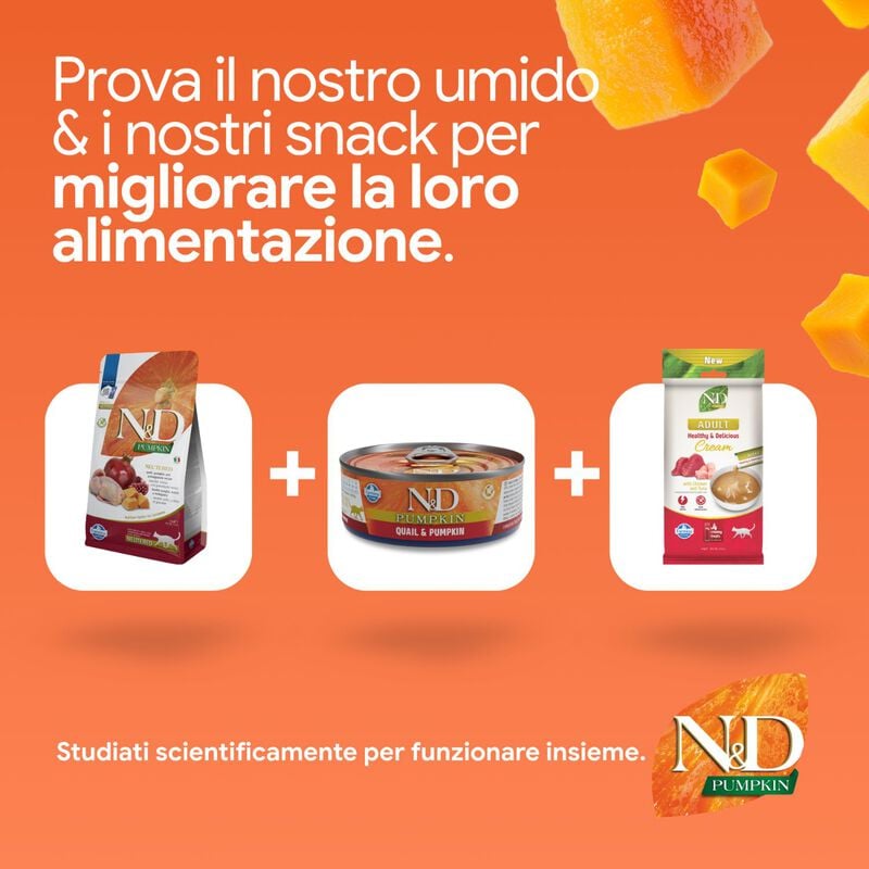 N&D Farmina Pumpkin Neutered Cat Quaglia e Melograno 300 gr