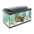 Tetra Starter Line Led 54 l
