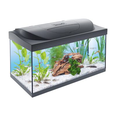 Tetra Starter Line Led 54 l