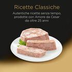 Cesar Dog Ricette Classiche Pollo e Manzo 150 gr