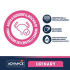 Advance Veterinary Diets Cat Urinary 400gr