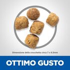 Hill's Science Plan Cat Adult Urinary Health con Pollo 1,5 kg