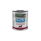 Farmina Vet Life Dog Gastrointestinal 300 gr