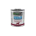Farmina Vet Life Dog Gastrointestinal 300 gr image number 0