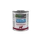 Farmina Vet Life Dog Gastrointestinal 300 gr