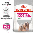 Royal Canin Dog Mini Adult e Senior Exigent 1 kg