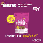 Schesir Dog Adult Snacks Trainers al Bacon 113 gr