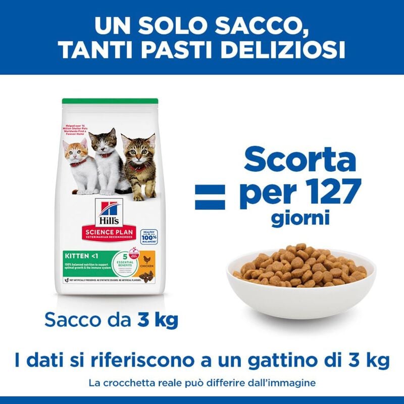 Hill's Science Plan Cat Kitten al Pollo 300 gr