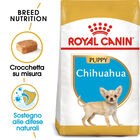 Royal Canin Dog Puppy Chihuahua 500 gr