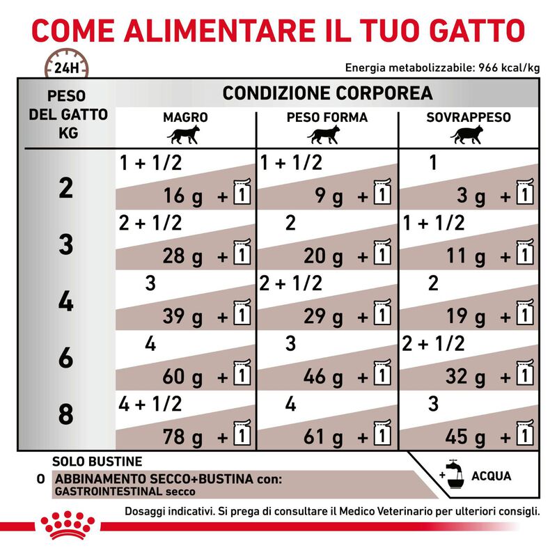 Royal Canin Veterinary Diet Cat Gastrointestinal 12x85 gr