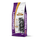 Gemon Dog Adult Maxi con Pollo e Riso 15 kg