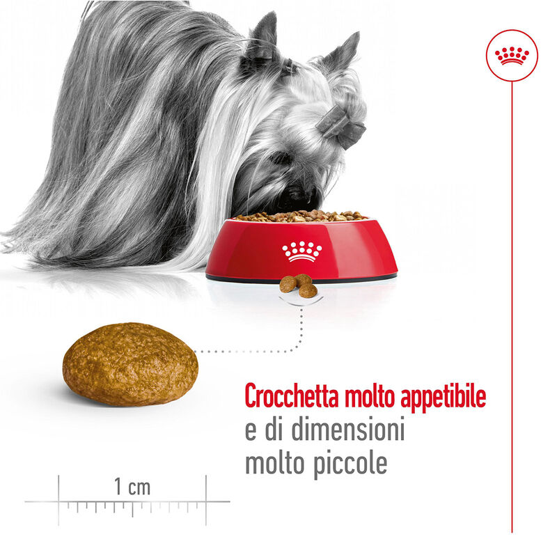 Royal Canin Dog Adult X-Small 500 gr