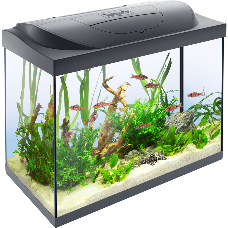 Tetra Starter Line Led 80 l