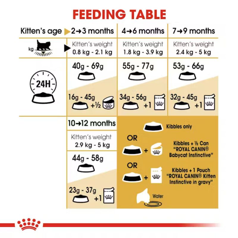 Royal Canin Cat Kitten Persian 2 kg
