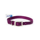 Petup Collare nylon 12 x 380 mm viola image number 0