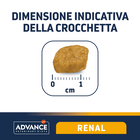 Advance Veterinary Diets Cat Adult Renal 1,5 kg