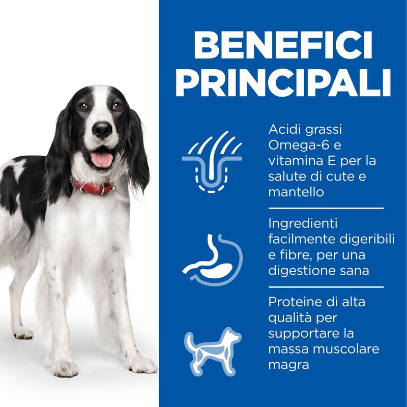 Hill's Science Plan Dog Medium Adult con Pollo 14 kg