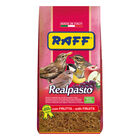 Raff Realpasto 1 Kg