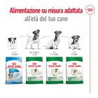 Royal Canin Dog Mini Adult +8, 8kg Royal Canin Dog Mini Adult +8, 8kg