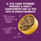 Edgard & Cooper Cibo umido per cani adulti Cinghiale a Anatra 150 gr