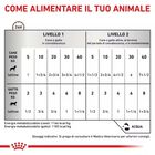 Royal Canin Veterinary Diet Dog e Cat Recovery 195 gr