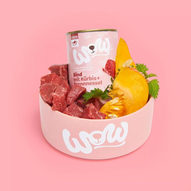 Wow Puppy Manzo con zucca e ortica 400 gr