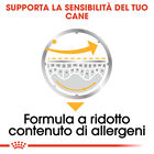 Royal Canin Dog Adult Dermacomfort 85 gr