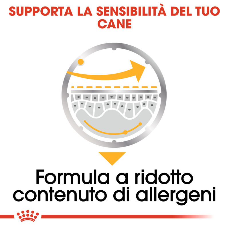 Royal Canin Dog Adult Dermacomfort 85 gr