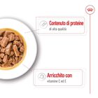 Royal Canin Dog Medium Adult 140 gr