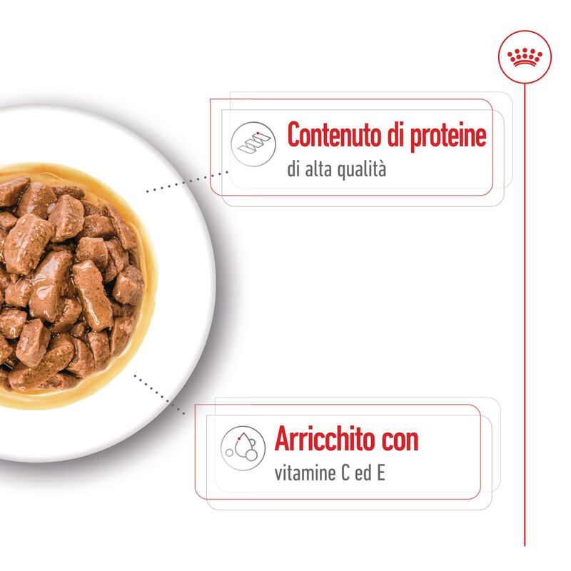 Royal Canin Dog Medium Adult 140 gr