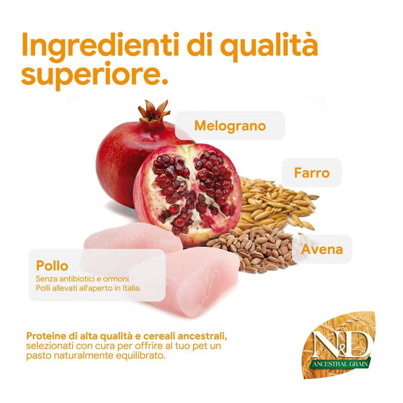 N&D Farmina Ancestral Grain Neutred Cat Pollo & Melograno 1,5 kg