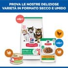 Hill's Sience Plan Kitten al Salmone 1,5 kg