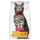 Hill's Science Plan Cat Adult Urinary Health al Pollo 1,5 kg