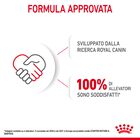 Royal Canin Dog Adult e Puppy Starter 195 gr